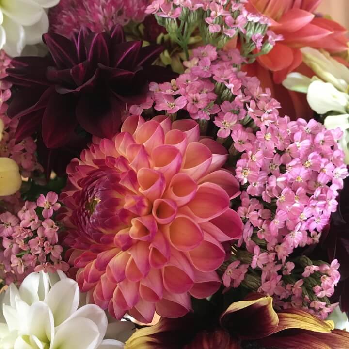 Posy flowers in a jam jar image