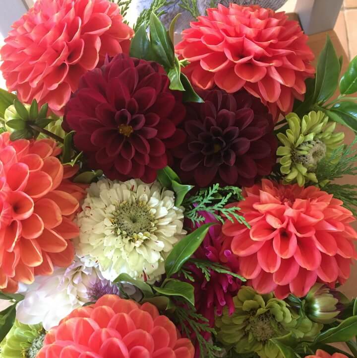 Posy flowers in a jam jar image