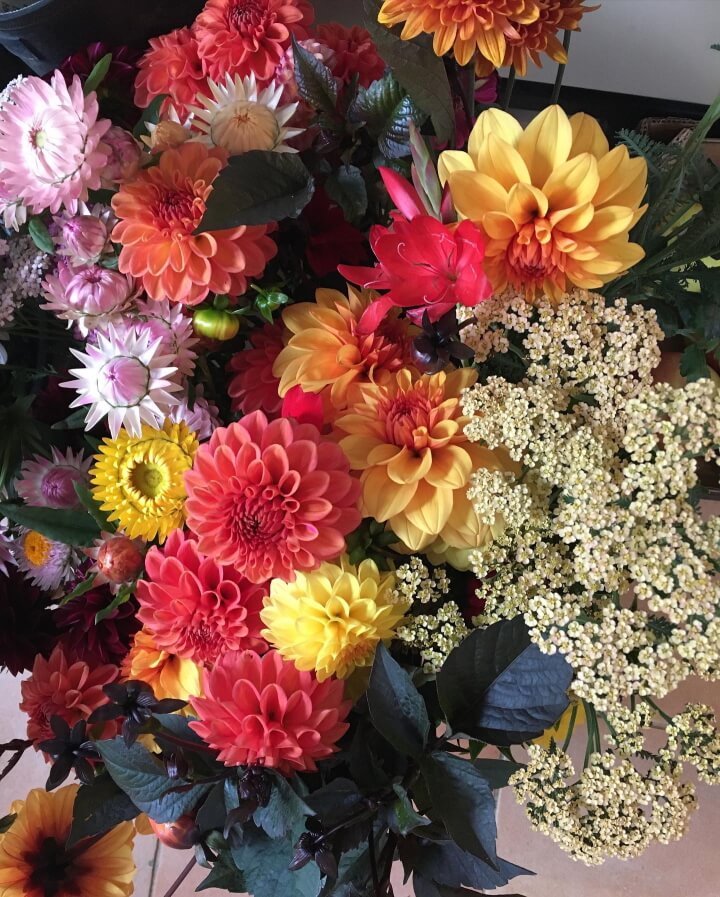 Posy flowers in a jam jar image